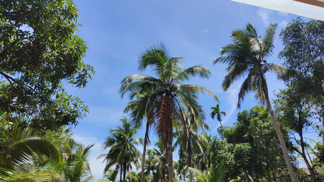 കേരളത്തിലും തമിഴ്നാട്ടിലും ഇന്നുമുതൽ മഴ കുറയുന്നു