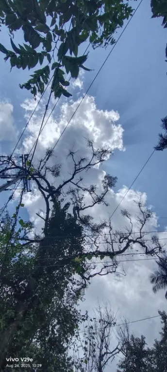 തെക്കൻ കേരളത്തിൽ ഒറ്റപ്പെട്ട മഴ സാധ്യത തുടരും