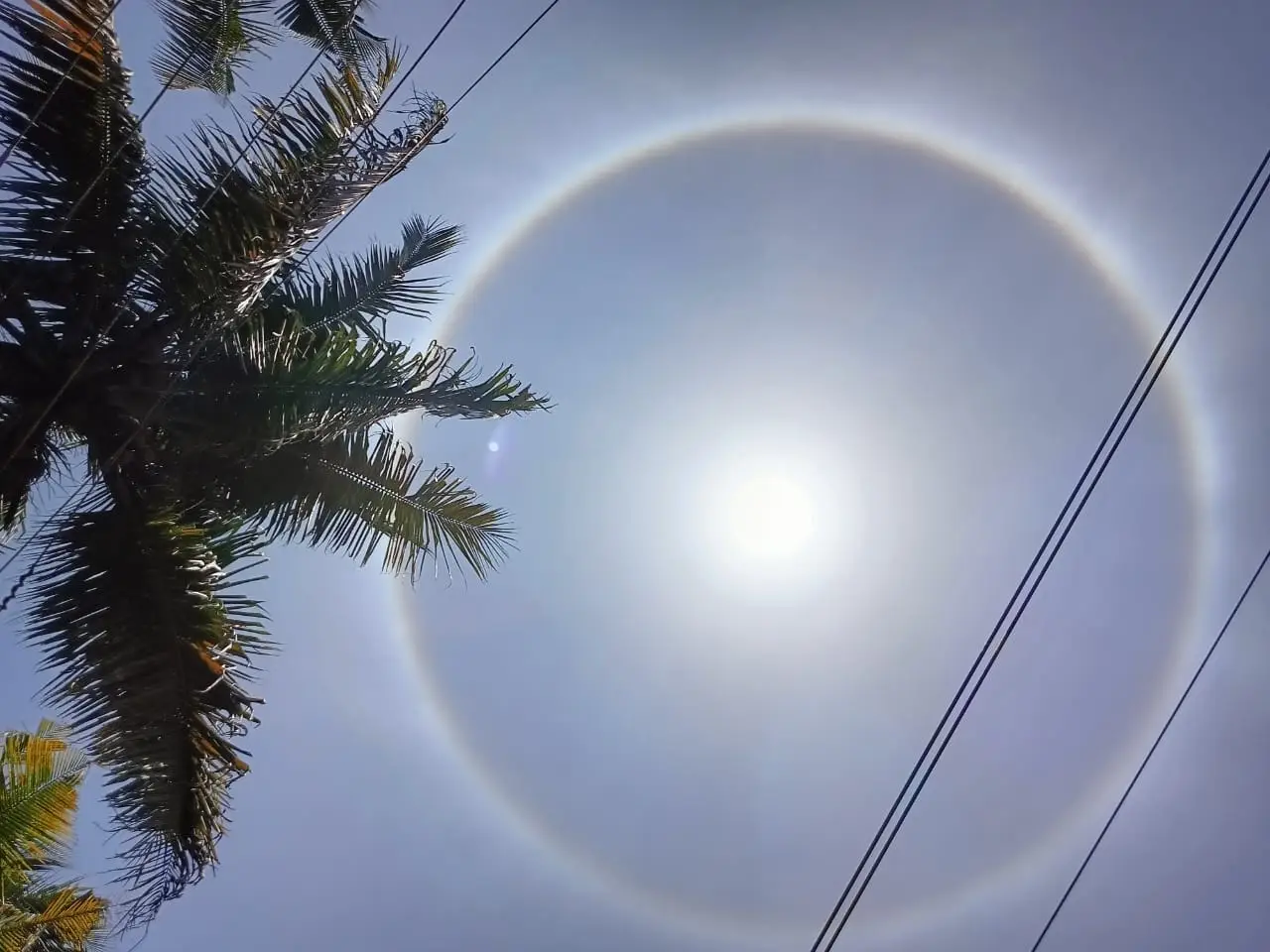 കേരളത്തിലെ വിവിധ സ്ഥലങ്ങളിൽ സൂര്യന് ചുറ്റും ഹാലോ പ്രതിഭാസം