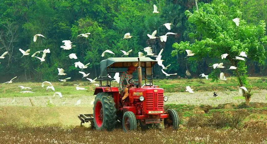 ചൂടും ആര്‍ദ്രതയും കൂടിയ കാലാവസ്ഥ, കര്‍ഷകര്‍ എന്തൊക്കെ ശ്രദ്ധിക്കണം