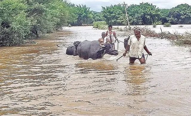 ലാനിന വരുന്നു, ഐ.ഒ.ഡി പോസിറ്റീവാകും, തുലാവര്‍ഷം കഴിഞ്ഞും മഴ തുടരുമോ ?