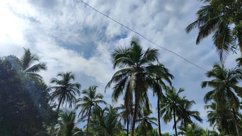 Kerala weather 29/09/25: കാറ്റോടു കൂടിയ മഴയ്ക്ക് സാധ്യത; ജാഗ്രതാ നിർദേശം