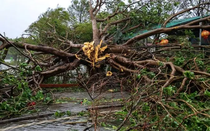 ബൗലോയ് വിയറ്റ്‌നാമില്‍ കരതൊട്ടു, 12 മരണം, രാക്ഷസത്തിരമാലയില്‍ 17 മത്സ്യത്തൊഴിലാളികളെ കാണാതായി