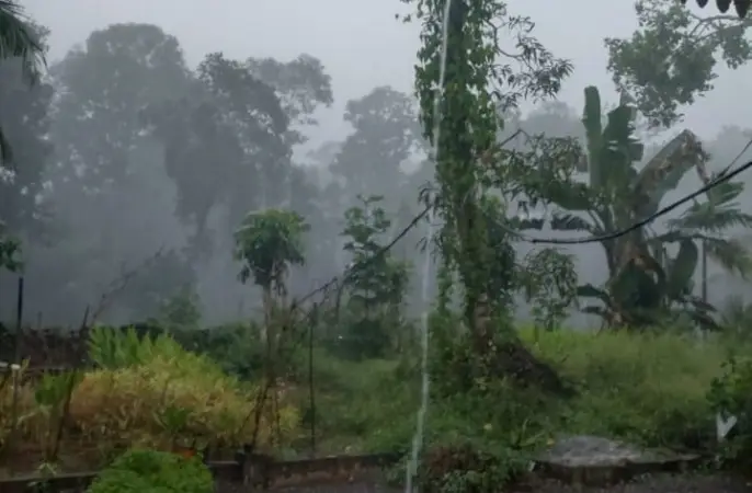 ഇന്നും വിവിധ ജില്ലകളിൽ ഇടിയോടെ മഴ സാധ്യത
