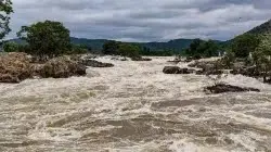 ആന്ധ്രാപ്രദേശിൽ   റെഡ് അലർട്ട്; തമിഴ്നാട്, ഒഡീഷ എന്നിവിടങ്ങളിൽ കനത്ത മഴയ്ക്ക് സാധ്യത