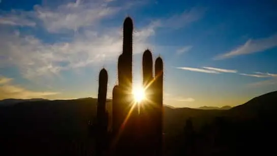 ലോകമെമ്പാടും ചൂട് മൂലമുള്ള മരണങ്ങൾ ഉയരുന്നുവെന്ന് പഠനം