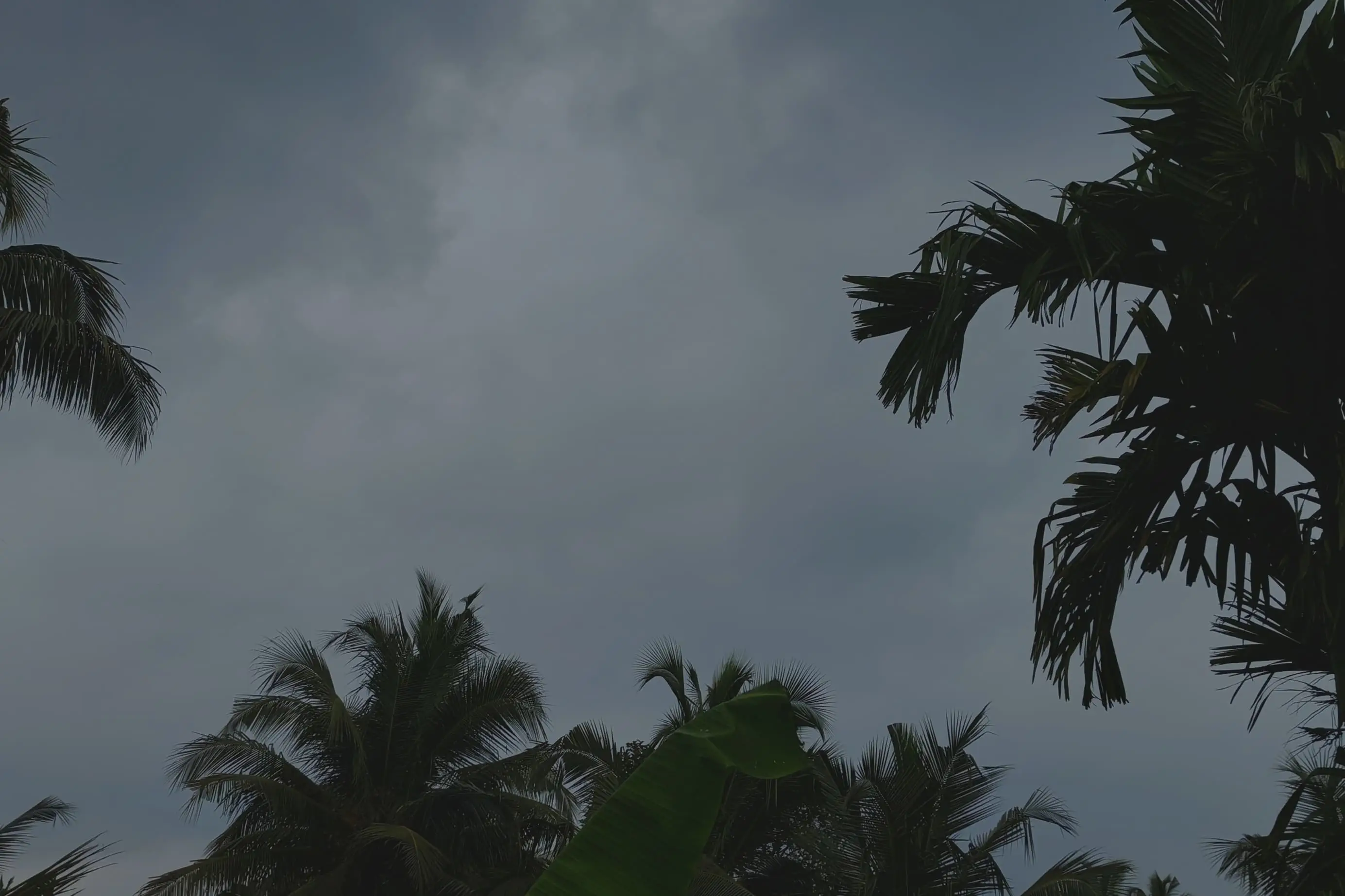 ഇന്നും തെക്കൻ ജില്ലകളിൽ മഴ സാധ്യത; മധ്യ, തെക്കൻ ജില്ലകളിൽ മേഘാവൃതം