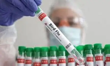 പക്ഷിപ്പനിയെ തുടർന്ന് അയർലണ്ടിൽ വളർത്തു പക്ഷികൾക്ക് നിർബന്ധിത ഹൗസിംഗ് ഓർഡർ