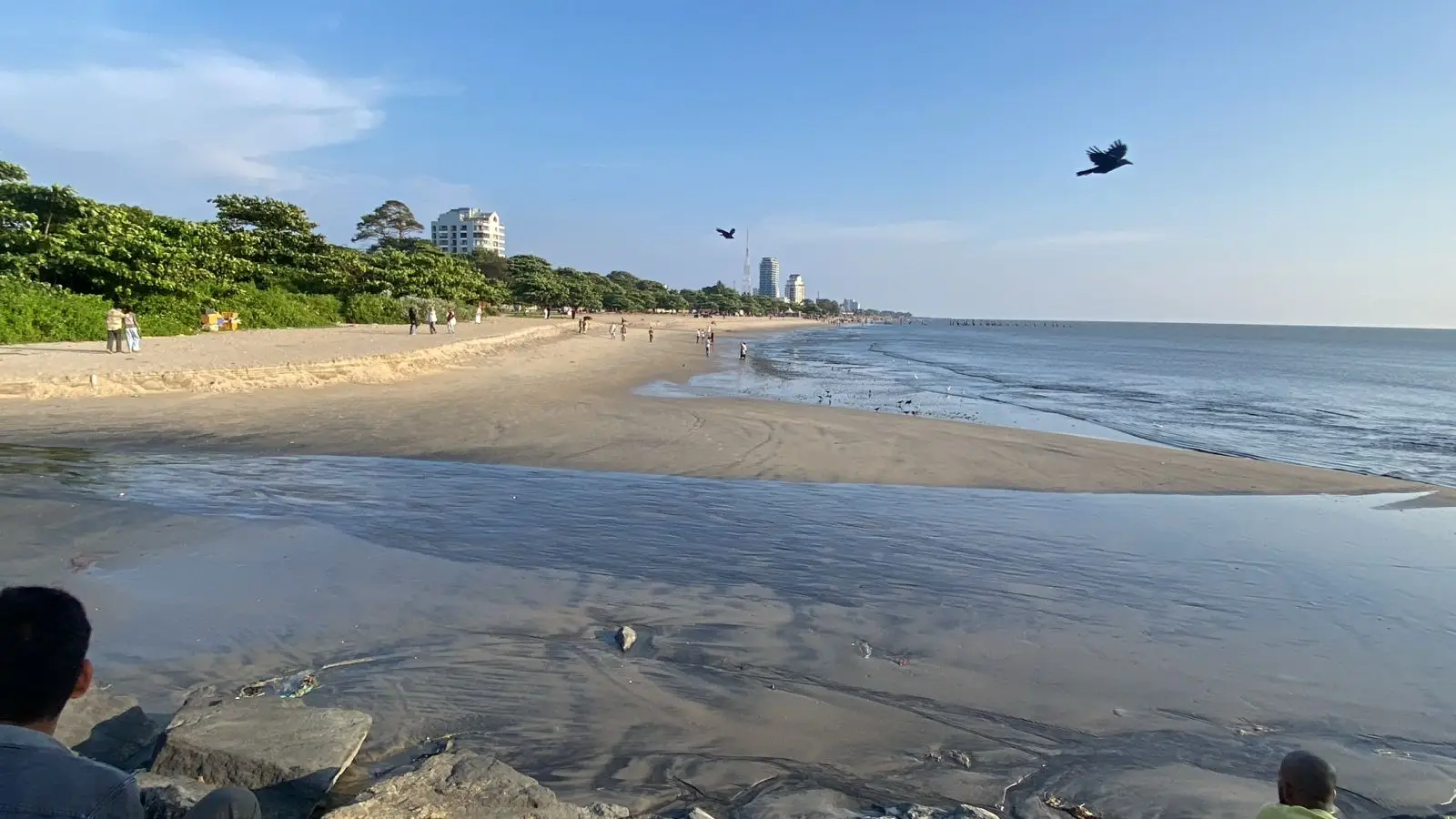 കോഴിക്കോട് തിരകൾ ഇല്ലാതായ കടൽ വീണ്ടും സജീവമായി