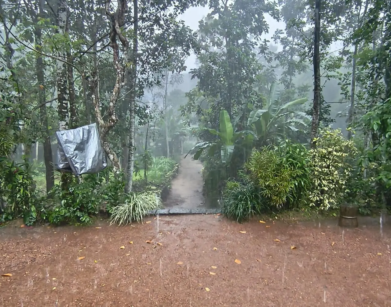കനത്ത മഴ; കോഴിക്കോട് വീടുകള്‍ക്ക് കേടുപാട്, കോട്ടയത്ത് സി.ബി.എസ്.ഇ കലോത്സവം നിര്‍ത്തിവച്ചു