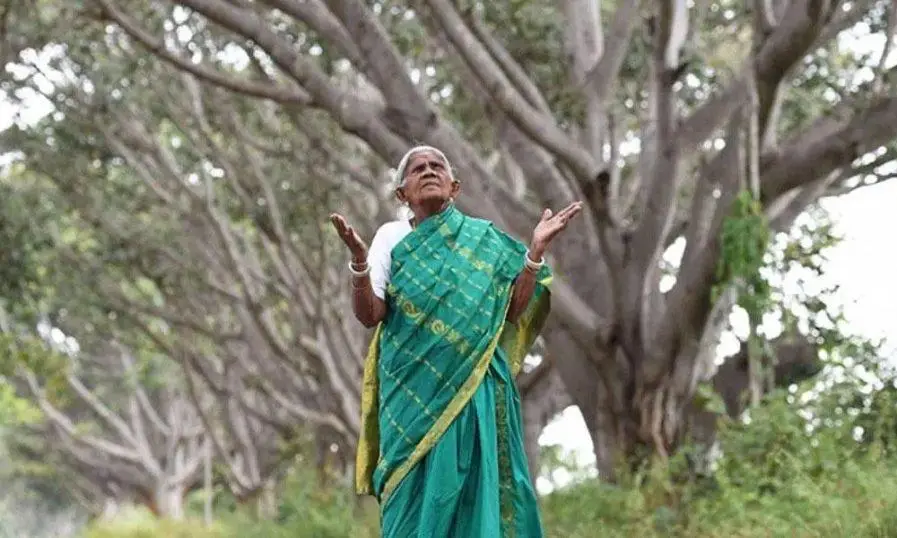 ആലിനെ സ്‌നേഹിച്ച ആലമ്മ യാത്രയായി