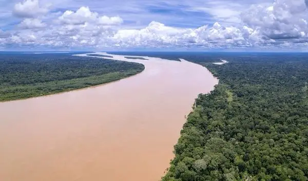 ജീവജാലങ്ങളുടെ നിലനിൽപിനായി ആമസോൺ നദിയെ പ്രകൃതി ചുവപ്പിച്ചു, പക്ഷേ മനുഷ്യൻ ചെയ്തതോ, കൊടും ക്രൂരത