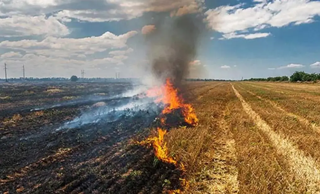 ഡൽഹിയെ ശ്വാസം മുട്ടിക്കുന്നതിൽ പ്രധാന കാരണം  വൈക്കോൽ കത്തിച്ചത്, വ്യാജ റിപ്പോർട്ട് നൽകി യോഗി സർക്കാർ