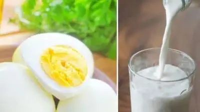 അസുഖം വന്ന മൃഗങ്ങൾക്ക് ആൻ്റിബയോട്ടിക് നൽകുന്നു, ദിവസങ്ങൾക്കു ശേഷം മാത്രം പാലും മുട്ടയും ഉപയോഗിക്കുക