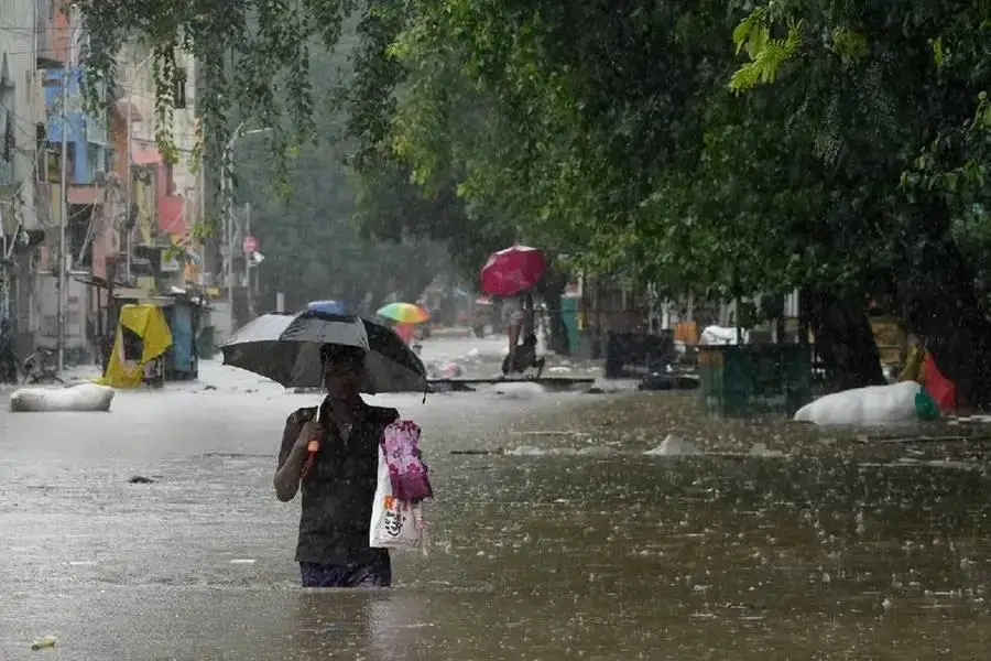 ഡിറ്റ് വാ ചുഴലികാറ്റ്: തമിഴ്‌നാട്ടിൽ 3 മരണം, കൃഷി നശിച്ചു, നൂറിലേറെ കന്നുകാലികൾ ചത്തു