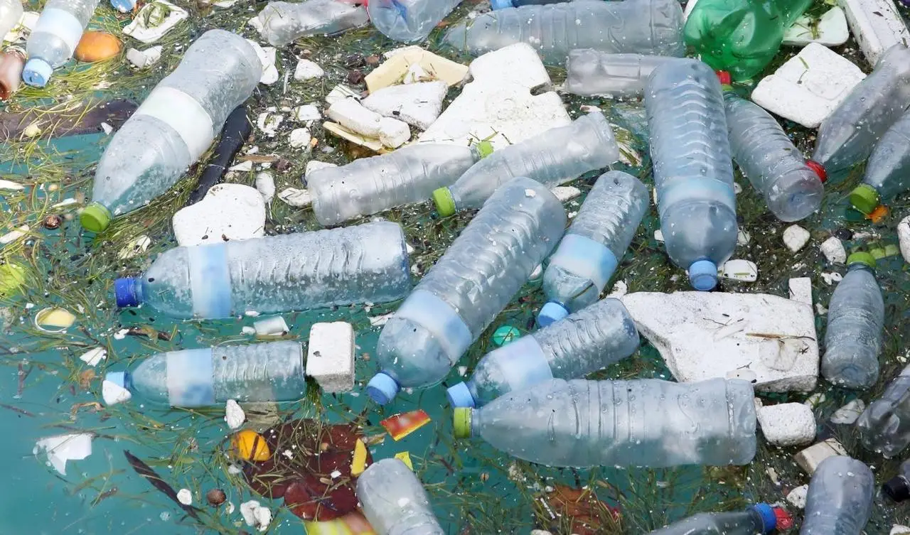 മാലിന്യം നിറഞ്ഞ നദികളുടെ എണ്ണത്തിൽ കേരളം രണ്ടാമത്, 32 നദികൾ മലിനമാക്കിയത് നമ്മൾ ഓരോരുത്തരും