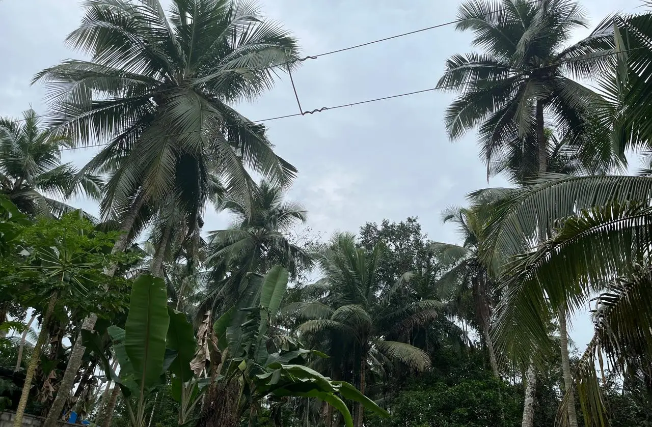 കേരളത്തിൽ ഡ്രൈ സ്പൈറൽ മഴ എത്തിയേക്കും