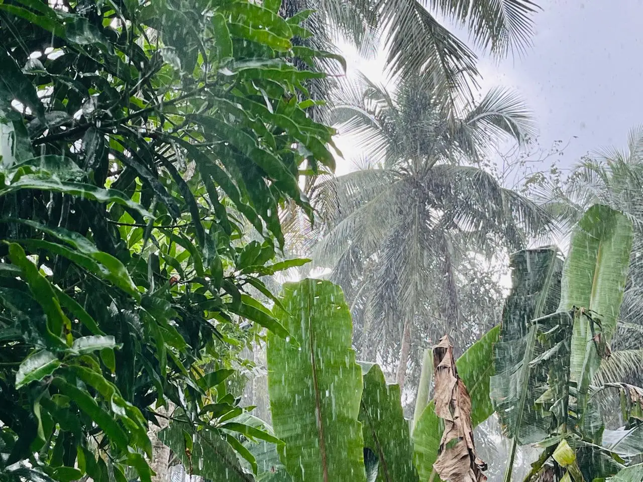 സംസ്ഥാനത്ത് ഇന്ന് മുതൽ ശക്തമായ മഴയ്ക്ക് ശമനം, ചില ജില്ലകളിൽ മഴ എത്തും