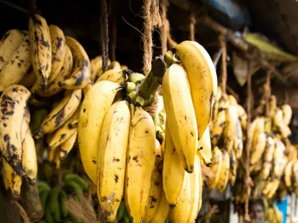 തണുപ്പ് കാലത്ത് വാഴപ്പഴം  ഇപ്രകാരം കഴിക്കൂ, ഇല്ലെങ്കിൽ ആശുപത്രി കയറി ഇറങ്ങേണ്ടിവരും 