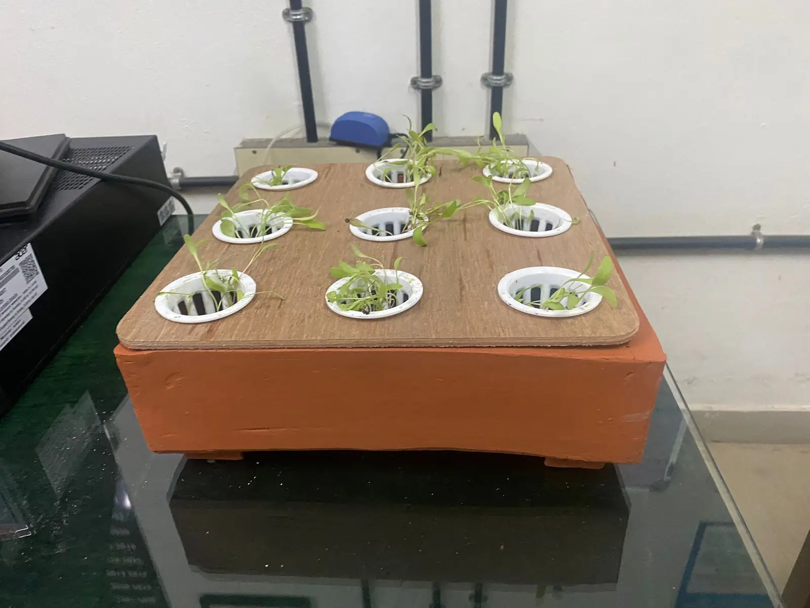Compact hydroponic tray developed for urban farming, Encouraging soilless farming