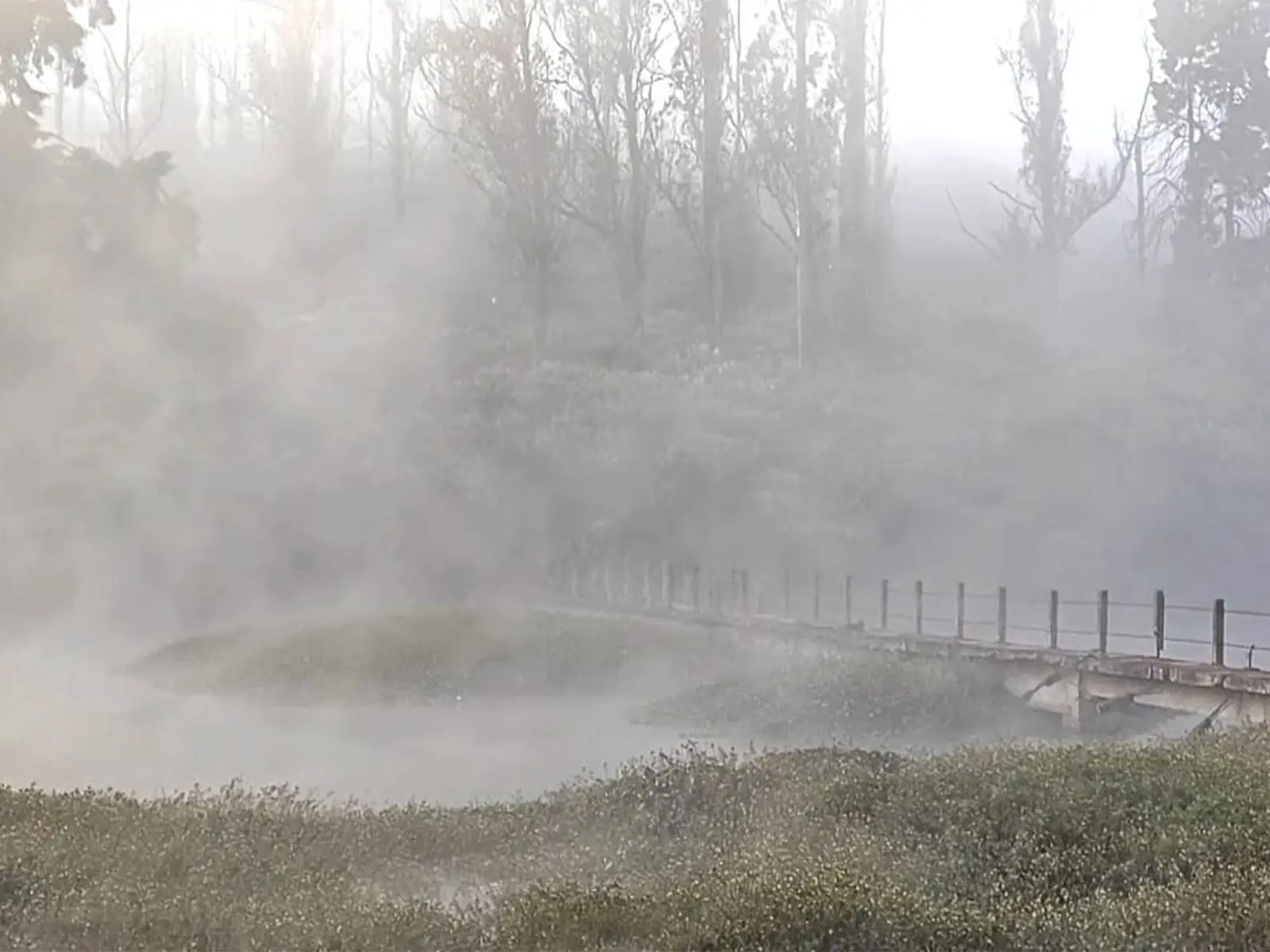 താപനില കുത്തനെ കുറഞ്ഞതോടെ തണുത്ത് വിറച്ച് ഊട്ടി: തമിഴ്‌നാട്ടിലെ നീലഗിരി മഞ്ഞുമൂടി