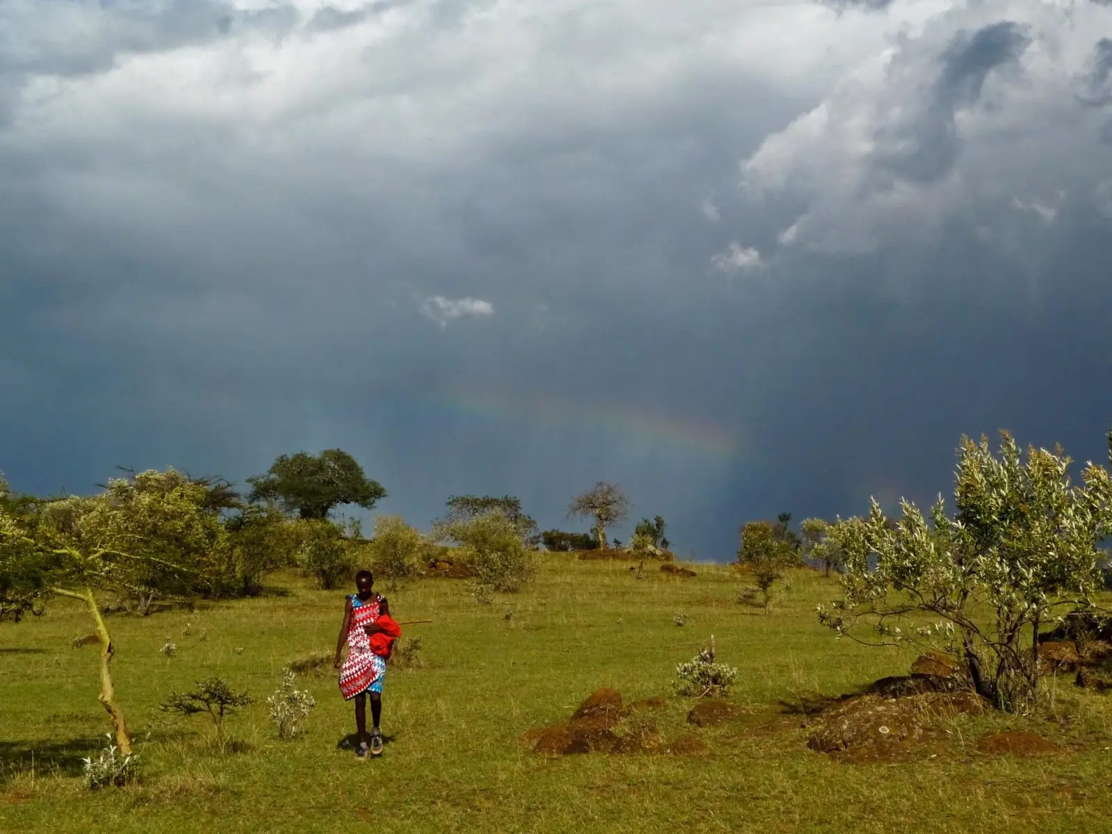 രാവിലെ ശക്തമായ മഴ, ഇടക്കിടെ വെയിൽ, ഉച്ചയ്ക്ക് ശേഷം ഇടിമിന്നൽ, രാത്രിയിൽ തണുപ്പ് 