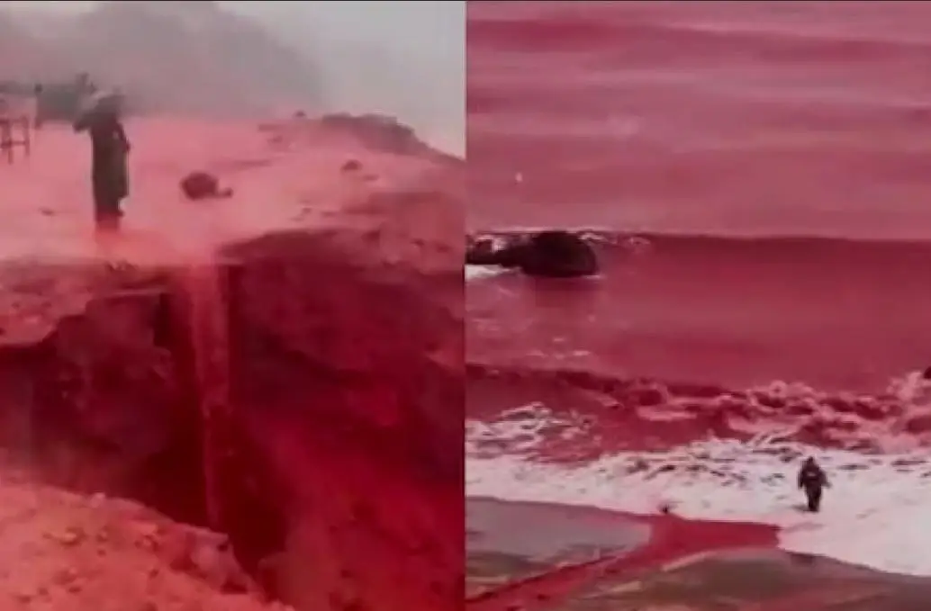 അതിശക്തമായ മഴ പെയ്തു,  ഒറ്റ രാത്രി കൊണ്ട് ദ്വീപ് രക്ത-ചുവപ്പ് നിറമായി മാറി, വൈറലായി വീഡിയോ