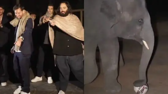 കുട്ടിയാനക്കൊപ്പം ഫുട്ബോൾ കളിച്ച് മെസ്സി, കടുവകുഞ്ഞിൻ്റെ പേരിടൽ ചടങ്ങിനും സാക്ഷിയായി