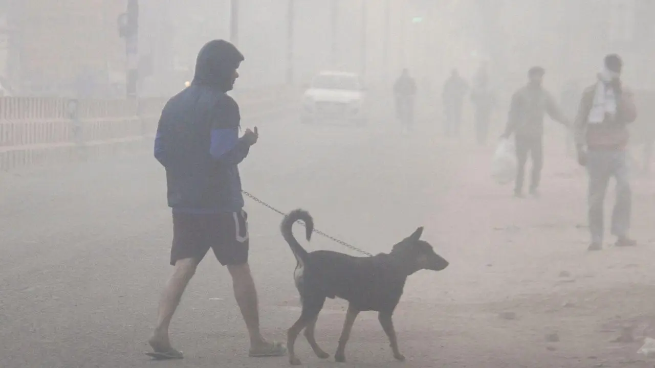 നട്ടുച്ചയ്ക്കു പോലും കേരളം തണുത്തു, ഈ സീസണിലെ ഏറ്റവും തണുപ്പേറിയ ദിവസം ഇന്നെന്ന് കാലാവസ്ഥാ വകുപ്പ്