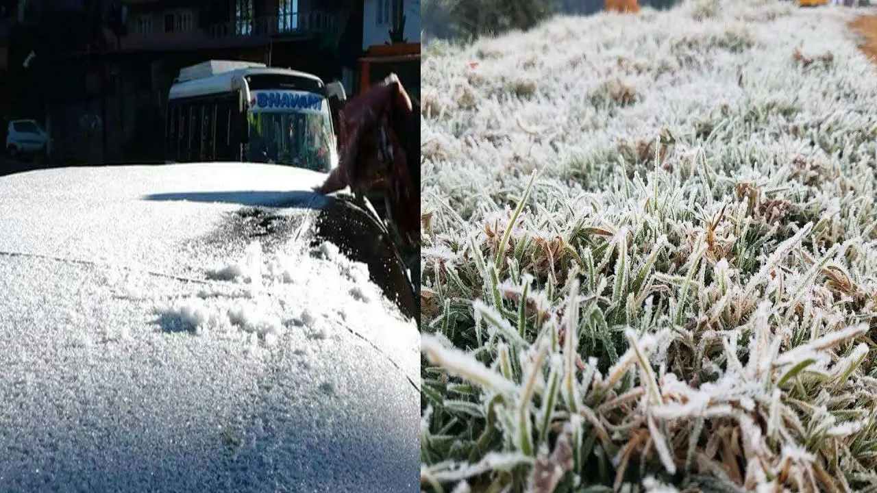 ഊട്ടിയിൽ അതികഠിനമായ തണുപ്പ്, സംസാരിക്കാൻ കഴിയുന്നില്ലെന്ന് വിനോദസഞ്ചാരികൾ, കൃഷിയെല്ലാം നശിക്കുന്നു