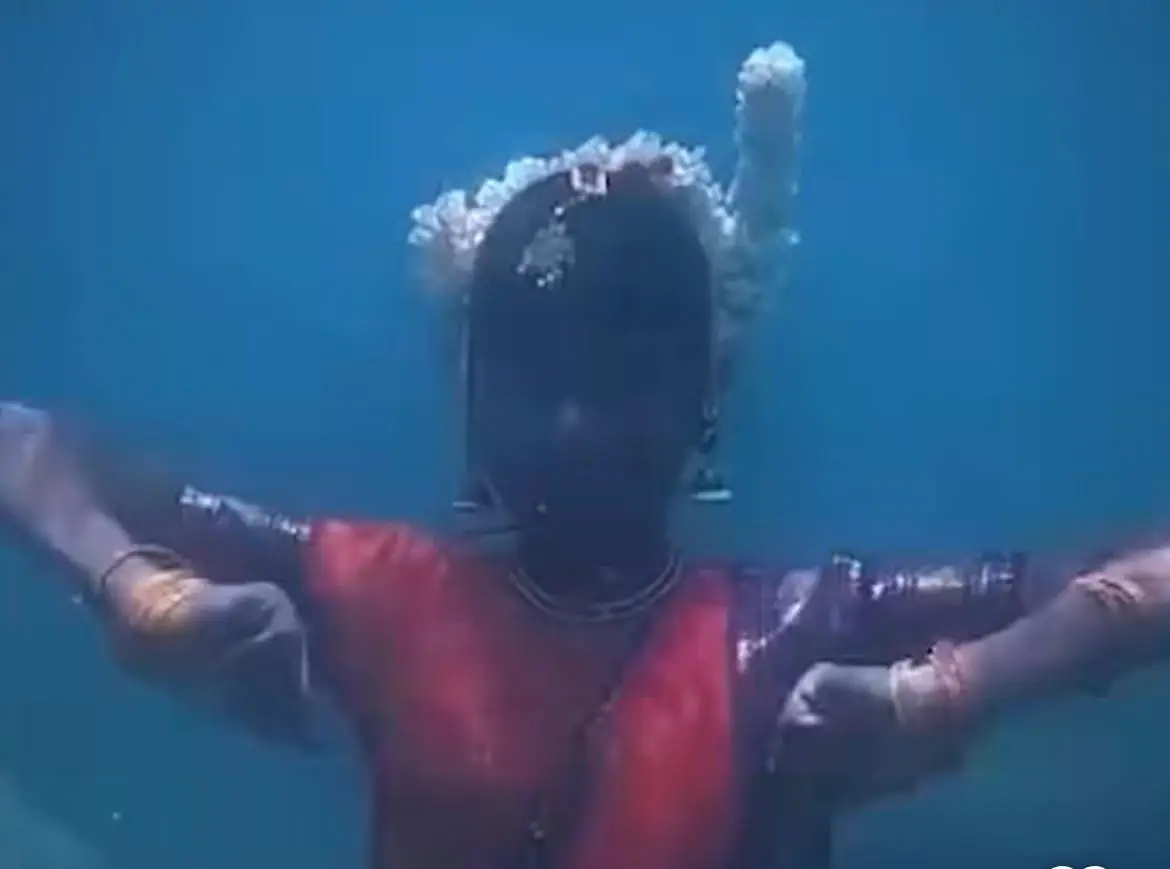 പ്ലാസ്റ്റിക് ഒഴിവാക്കൂ, സന്ദേശവുമായി വെള്ളത്തിനടിയിൽ 11 കാരിയുടെ ഭരതനാട്യം, വൈറലായി വീഡിയോ