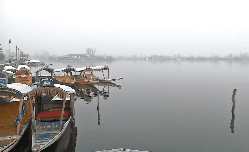 മനോഹരമായ ദാൽ തടാകം, മൂടൽമഞ്ഞുള്ള പ്രഭാതങ്ങൾ, മഞ്ഞുവീഴ്ച: കശ്മീരിനെ കീഴടക്കുന്ന തണുത്ത കാലാവസ്ഥ  ആസ്വദിച്ച് വിനോദസഞ്ചാരികൾ