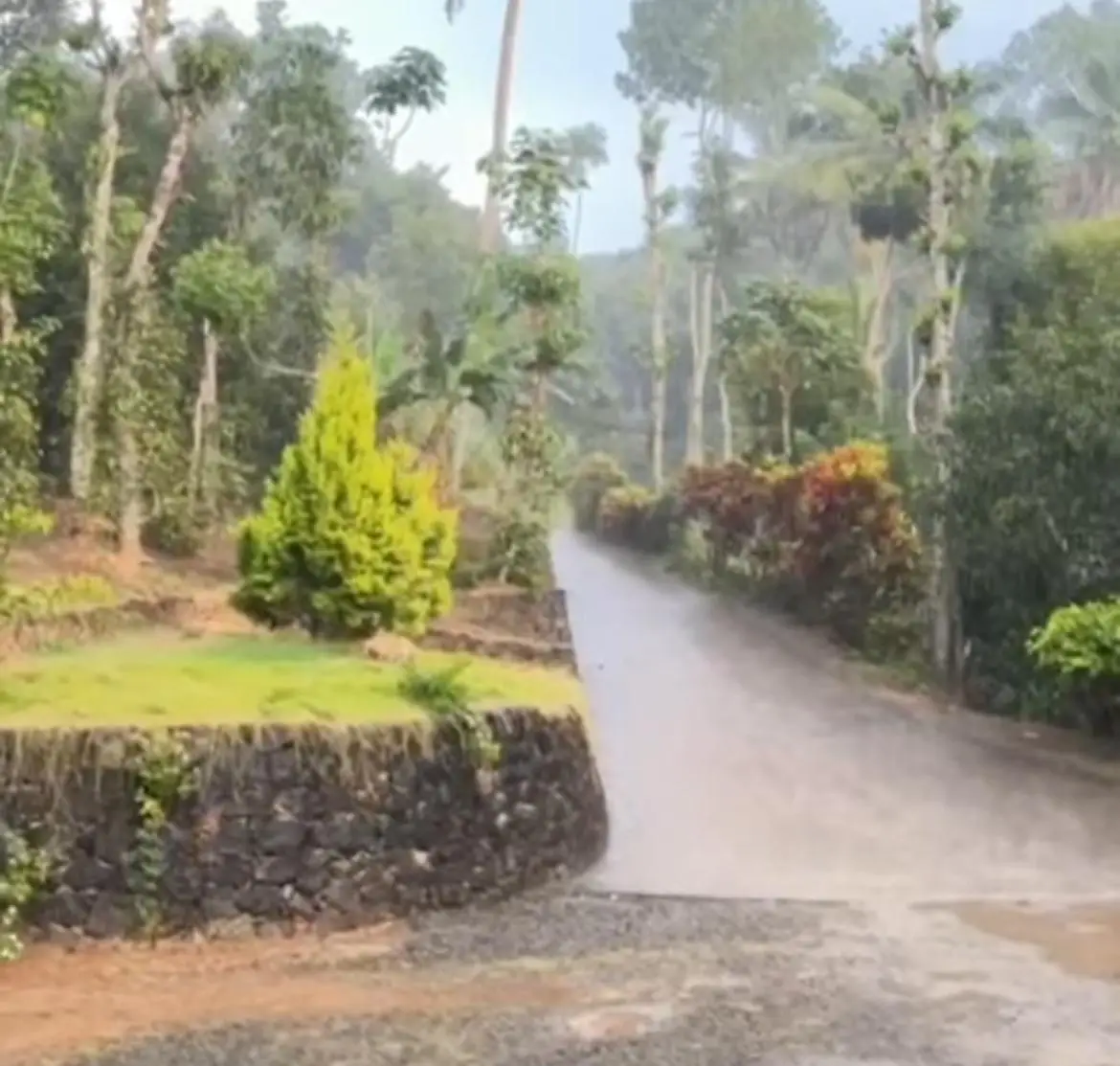 പുതുവർഷ ദിനത്തിൽ മഴ എത്തി, പാലക്കാടും, ഇടുക്കിയിലും ശക്തമായ മഴ പെയ്തു, വരും ദിവസങ്ങളിൽ മഴ തുടരും