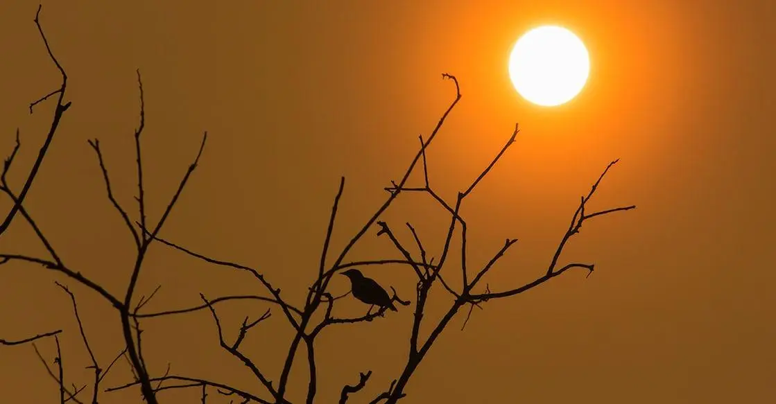 കേരളത്തിൽ ചൂട് കൂടുമോ മഴ പെയ്യുമോ ? മുന്നറിയിപ്പുമായി കാലാവസ്ഥാ വകുപ്പ് , ജലക്ഷാമ ഭീഷണിയും