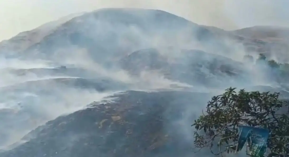 ജനവാസ മേഖലയിൽ ആളികത്തി കാട്ടുതീ, മറുതീയിട്ട് നാട്ടുകാർ തീയണച്ചു, വൻ പ്രതിഷേധം 
