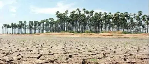 ജനുവരി തുടങ്ങിയപ്പോൾ തന്നെ നദികളും ജലസംഭരണികളും വറ്റിതുടങ്ങി, ഇങ്ങനെ പോയാൽ കുടിവെള്ള പദ്ധതികളുടെ പ്രവര്‍ത്തനം ഉടൻ നിലയ്ക്കും