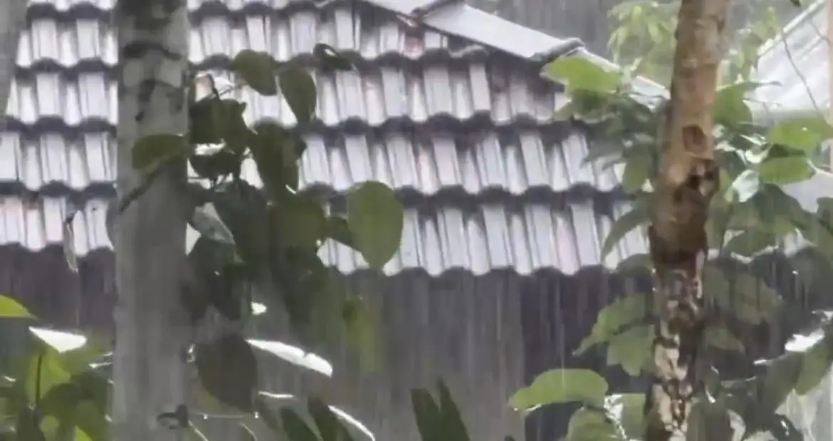 കിഴക്കൻ കാറ്റ് സജീവമാകും, കേരളത്തിൽ ഈ മാസം  24 ന് ശേഷം മഴയ്ക്ക് സാധ്യത