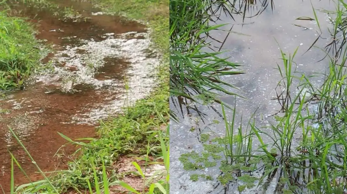 വേലിയേറ്റം ശക്തമായി, ആയിരത്തോളം കുടുംബങ്ങൾ ദുരിതത്തിൽ; കിണറുകളിൽ ഉപ്പുവെള്ളം, ശുചിമുറി നിറഞ്ഞൊഴുകി