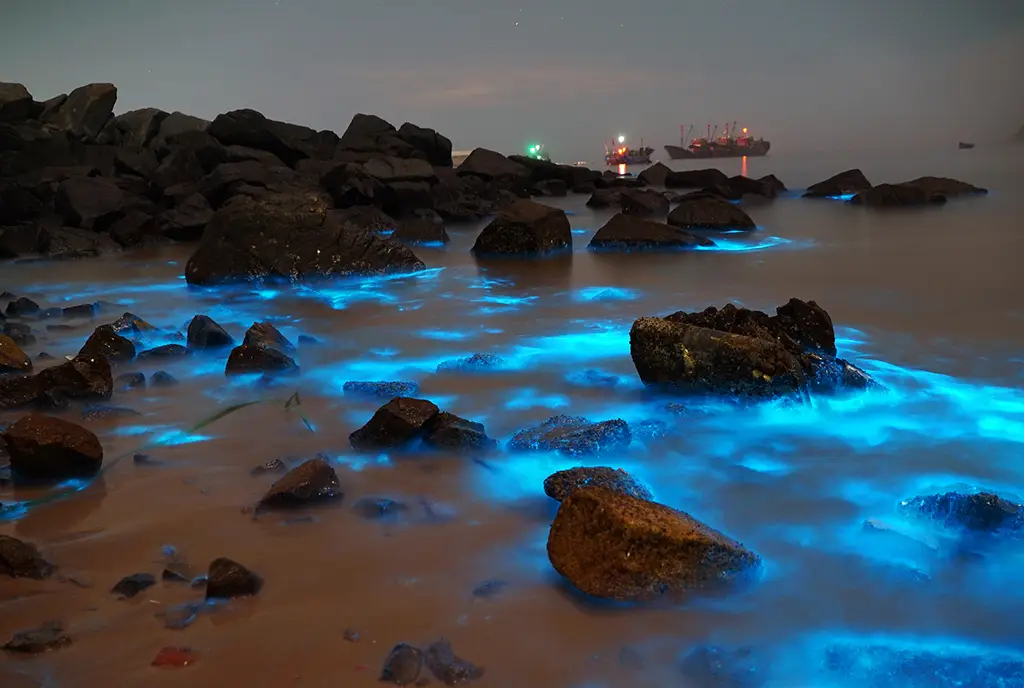 രാത്രിയിൽ കടലിൻ്റെ നിറം മാറും, വർഷം മുഴുവൻ ശക്തമായ കാറ്റും