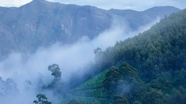 കേരളത്തിൽ ശൈത്യം കടുക്കുന്നു, തണുപ്പും മൂടൽ മഞ്ഞും തുടരും