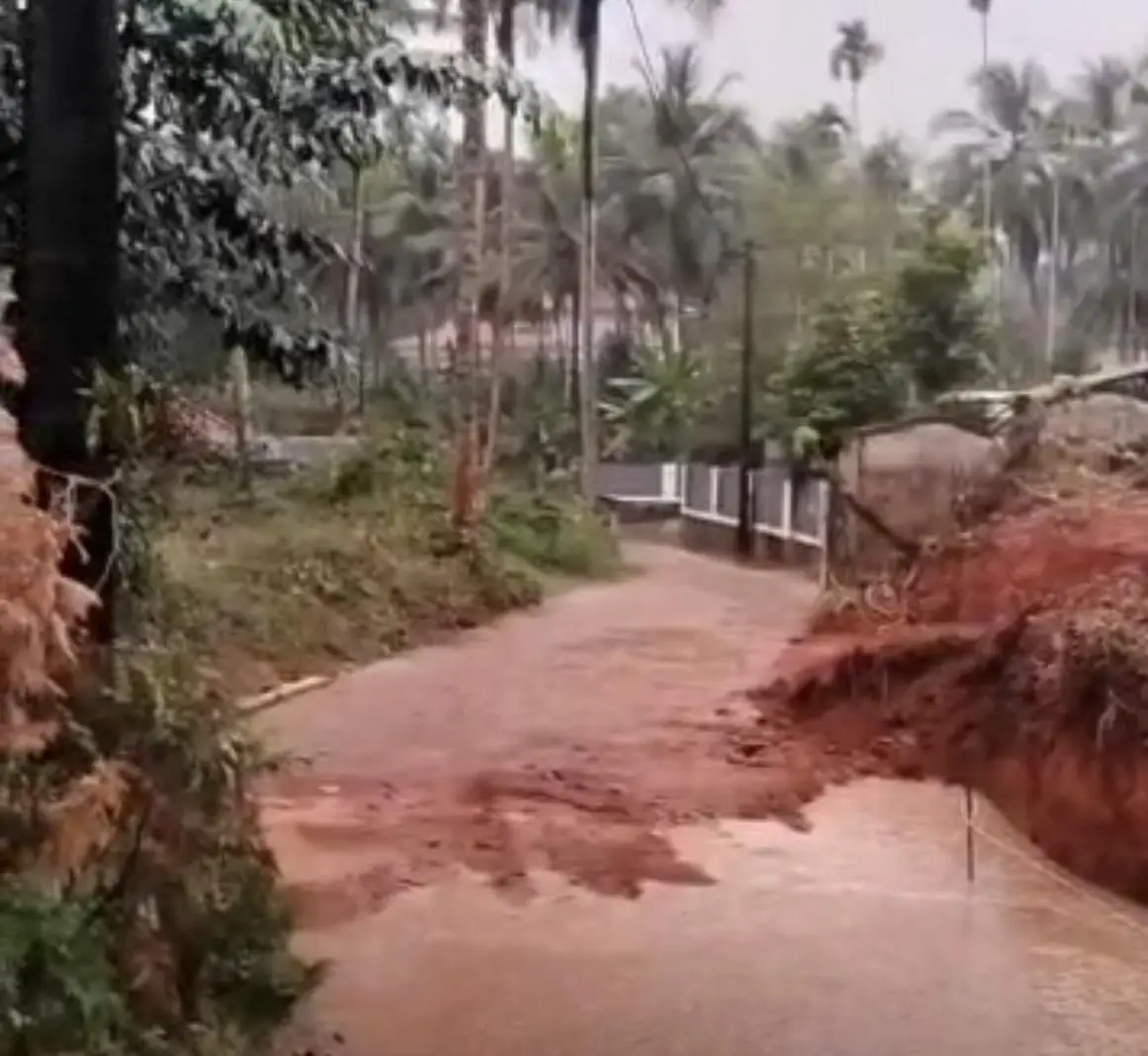 കേരളത്തിൽ വീണ്ടും മഴ എത്തി, വിവിധ ജില്ലകളിൽ വൈകീട്ട്  ശക്തമായ മഴ പെയ്തു, കാണാം ചില  മഴ കാഴ്ചകൾ 