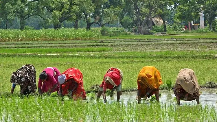 കേരള ബജറ്റ് 2026: കാർഷിക മേഖലയ്ക്ക് കരുതലായി ബജറ്റ് 2026