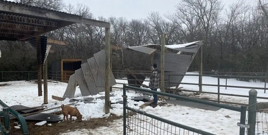 അതിശൈത്യത്തിൽ വിറച്ച് അമേരിക്ക; ശൈത്യതരംഗത്തിൽ മരണം തുടരുന്നു, ജനജീവിതം സ്തംഭിച്ചു