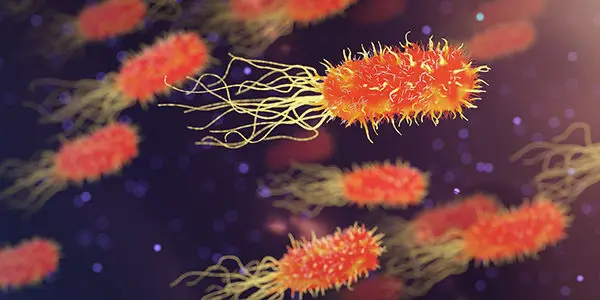 മരുഭൂമിയിലെ അപകടകാരികളായ രോഗാണു ബാക്ടീരിയകൾ കാറ്റിലൂടെ പടരുന്നതായി കണ്ടെത്തി ശാസ്‌ത്രലോകം, ജാഗ്രത