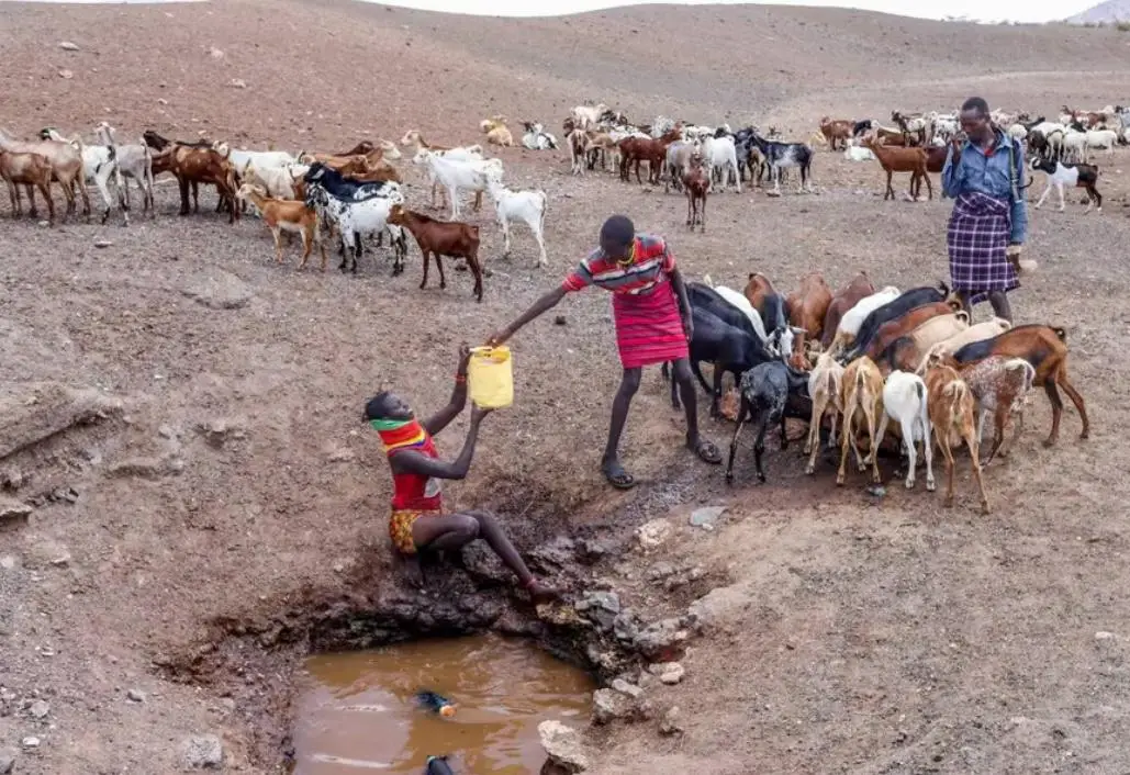 മഴ ചതിച്ചു, കെനിയ കൊടും വരൾച്ചയിൽ, ഈ ദുരിതം ലോകത്തിന് നൽകുന്ന മുന്നറിയിപ്പ്
