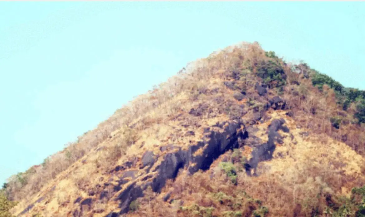 നേരത്തെ എത്തിയ വേനൽ ഇടുക്കിയെ തളർത്തി, ഉറവകൾ വറ്റി, വെള്ളം വിലകൊടുത്ത് വാങ്ങേണ്ട അവസ്ഥ, പശുക്കൾക്ക്  പാൽ കുറഞ്ഞു 