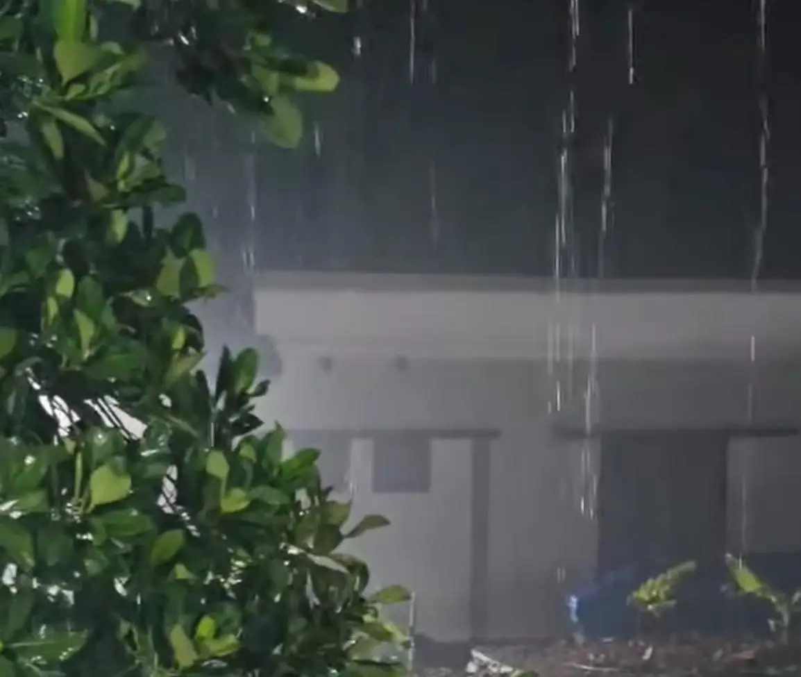 കേരളത്തിൽ വീണ്ടും മഴ എത്തി, പത്തനംതിട്ട റാന്നിയിൽ തകൃതിയായി മഴ പെയ്തു