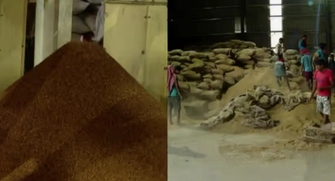 പാലക്കാട് നിന്ന് ശേഖരിച്ച നെല്ല് "പാലക്കാടൻ മട്ട” എന്ന പേരിൽ വിൽപ്പന നടത്തി വൻ അഴിമതി, കൈയ്യോടെ പൊക്കി