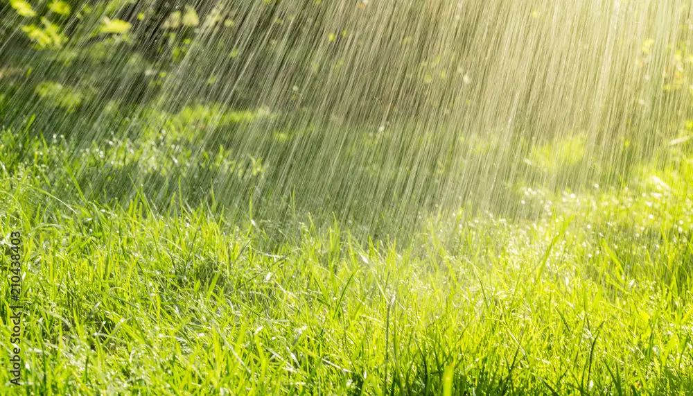 പകൽ അൾട്രാവയലറ്റ് സൂചിക ഉയരുന്നു, ഉച്ചയ്ക്ക് ശേഷം ശക്തമായ കാറ്റും, മഴയും, ഇന്നത്തെ മഴ നേരത്തേ തുടങ്ങി
