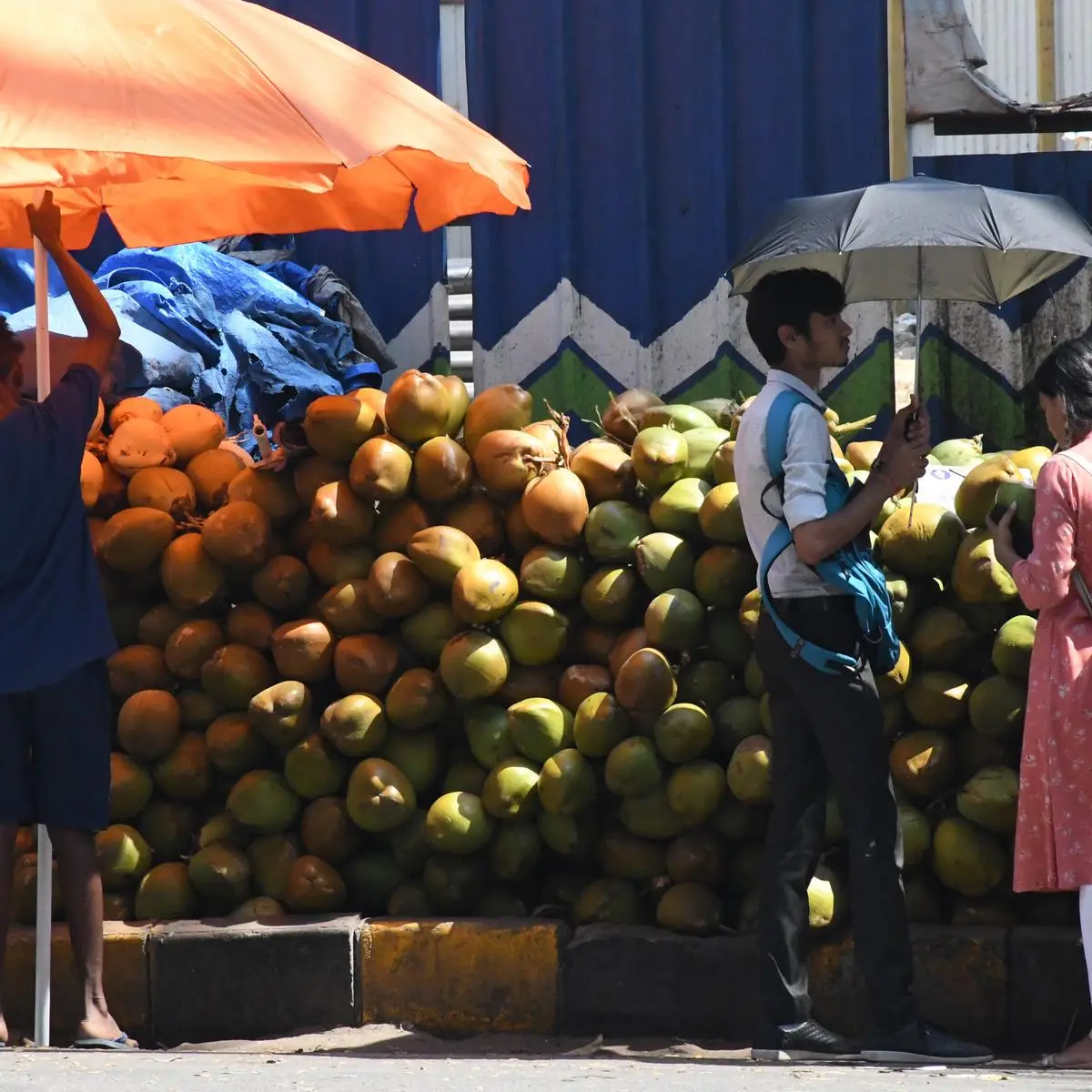 പൊള്ളുന്ന ചൂട്, ഇളനീരിന് റെക്കോഡ് വില, തളർന്ന് ബാംഗ്ലൂർ ജനത